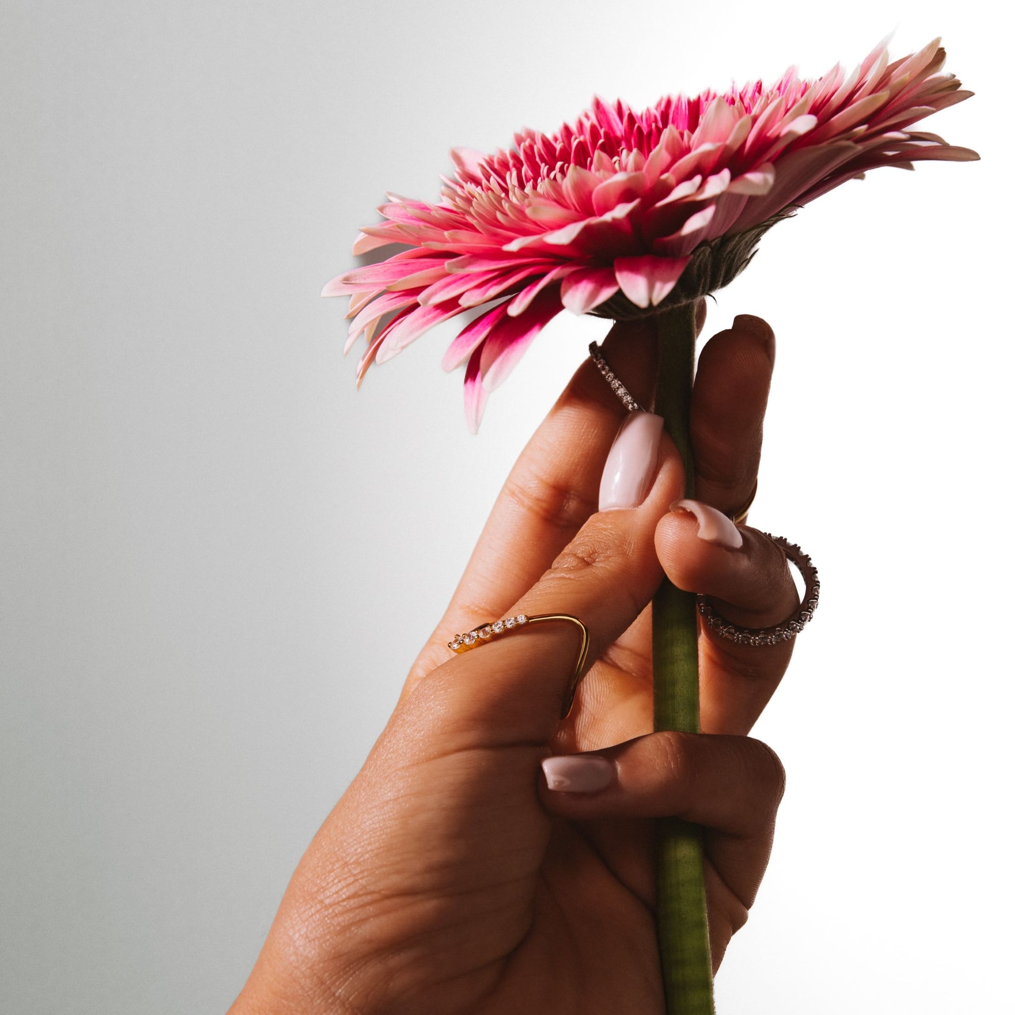 A hand holding a pink gerbera against a pale wall, wearing the Alma ring and other rings.